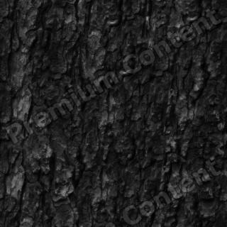 seamless tree bark wood bump 0003